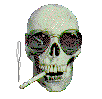 smokin' skull